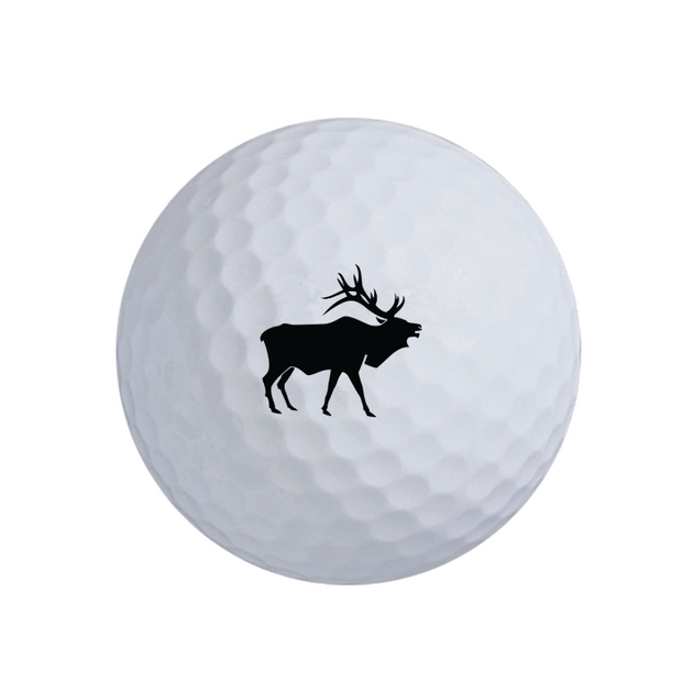 Value Golf Balls White