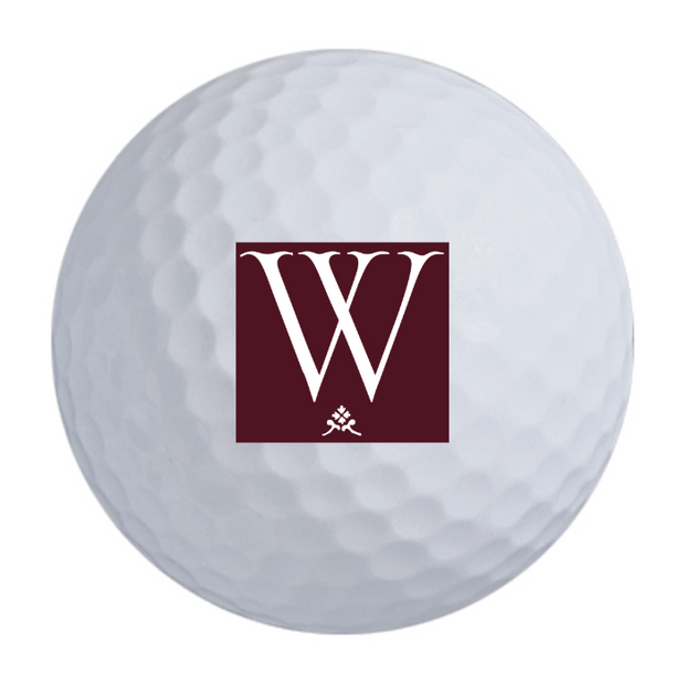Bridgestone e6 Golf Balls