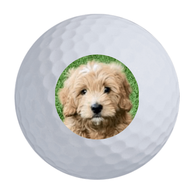 TaylorMade TP5x Golf Balls