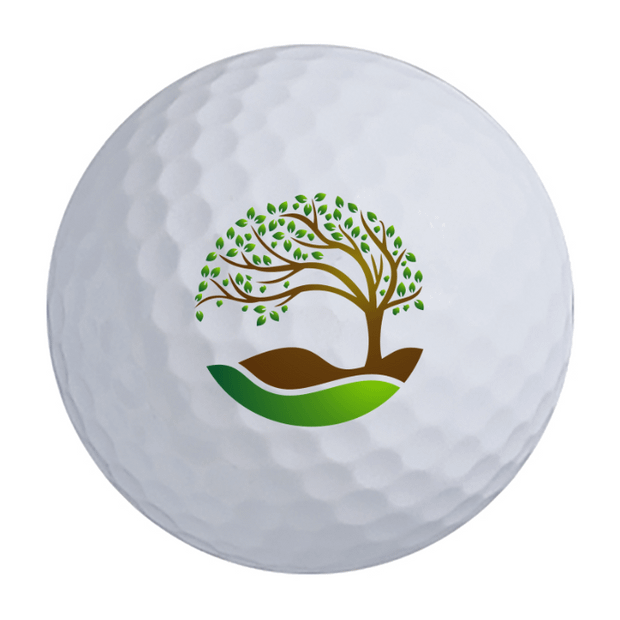 Bridgestone Tour B RXS Prior Generation Golf Balls - 3 For $85