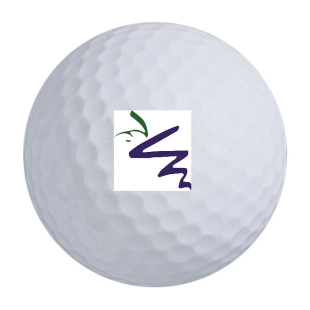 Titleist AVX Golf Balls