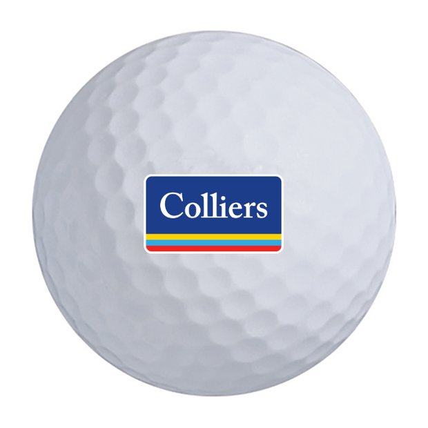 Titleist Pro V1 Golf Balls