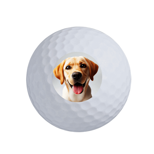 Value Golf Balls White