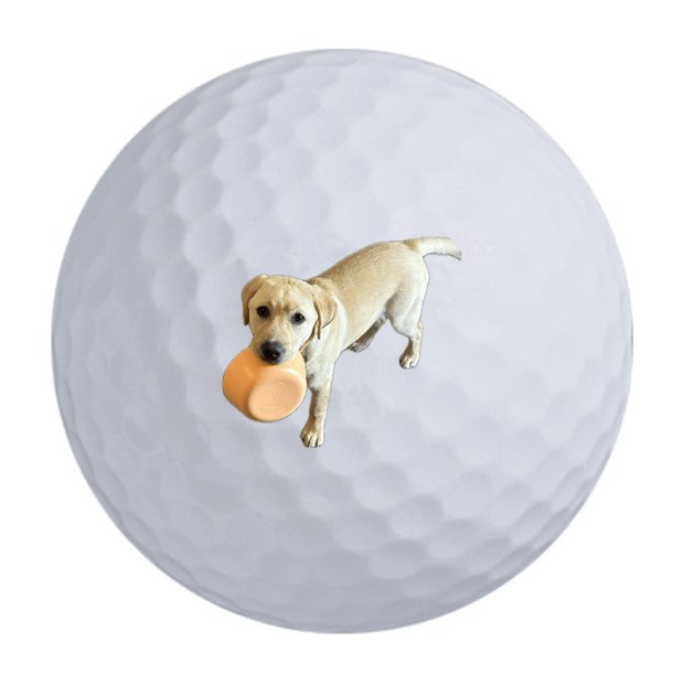 TaylorMade TP5x Golf Balls