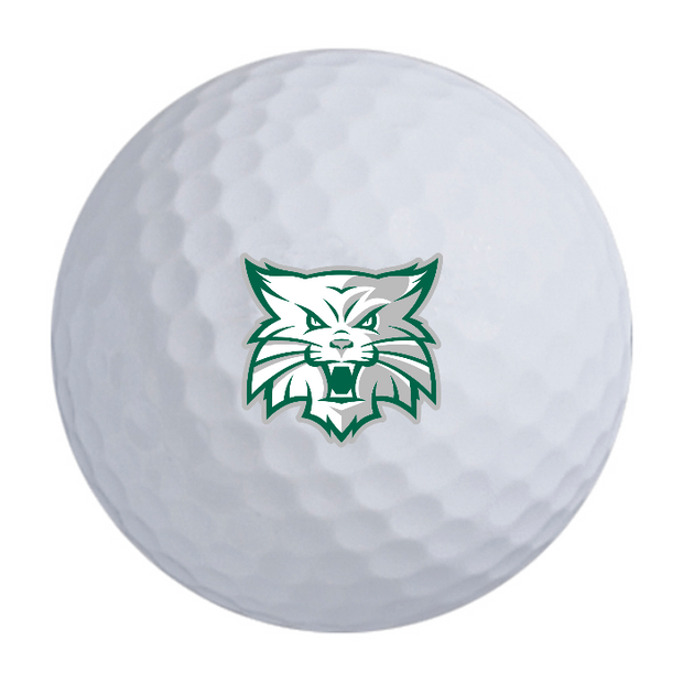 Custom Callaway Warbird Golf Balls One Dozen