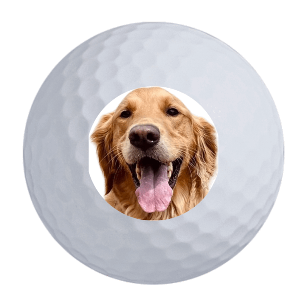 Custom Callaway Warbird Golf Balls One Dozen