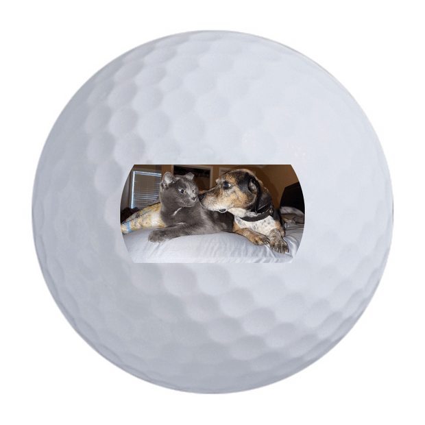 Wilson Staff Model X Golf Balls | Buy 2 DZ Get 1 DZ Free