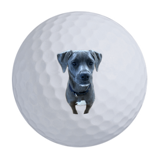 Wilson Ultra Distance Golf Balls