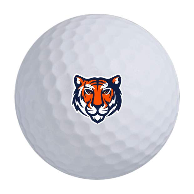 Bridgestone e6 Golf Balls