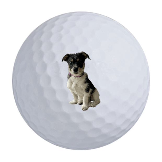 TaylorMade Distance + Golf Balls