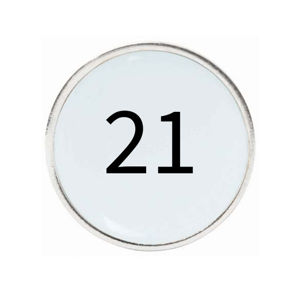 10 Pack Silver Ball Markers
