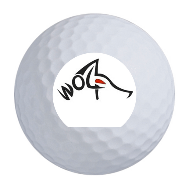 Noodle Long and Soft Golf Balls - 24 Ball Pack