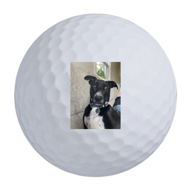 Nitro Maximum Distance Golf Balls