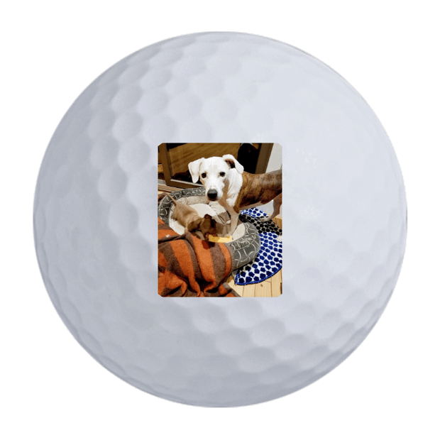 Custom Callaway Supersoft Golf Balls One Dozen