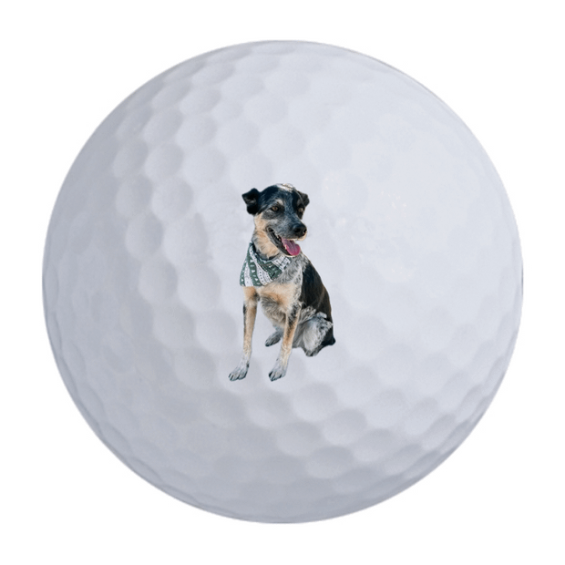 Titleist Pro V1 Golf Balls