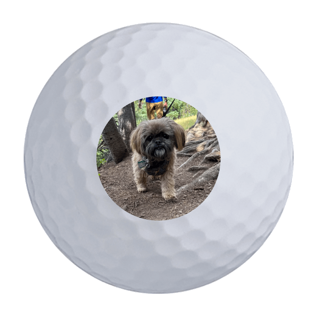 Wilson Duo Soft Golf Balls