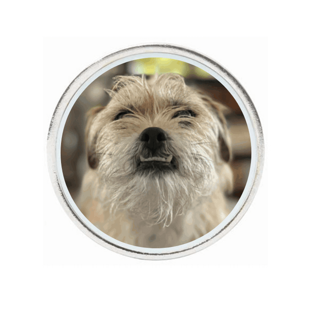 10 Pack Silver Ball Markers