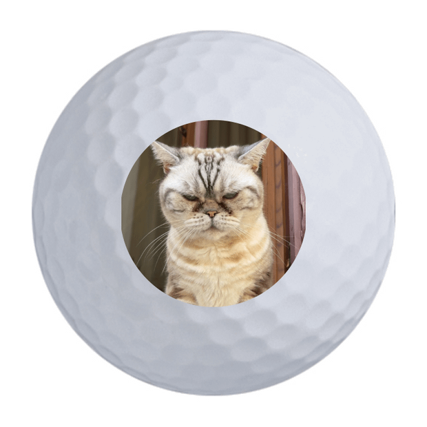 Custom Callaway Superfast Golf Balls 15 Ball Pack