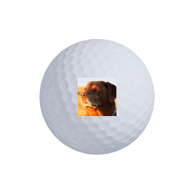 Callaway Chrome Soft X PRIOR GENERATION Golf Balls