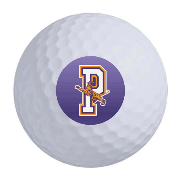 Precept Power Drive Golf Balls