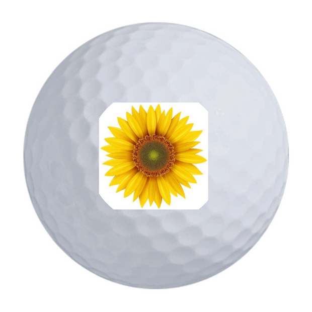 Callaway ERC Soft Golf Balls
