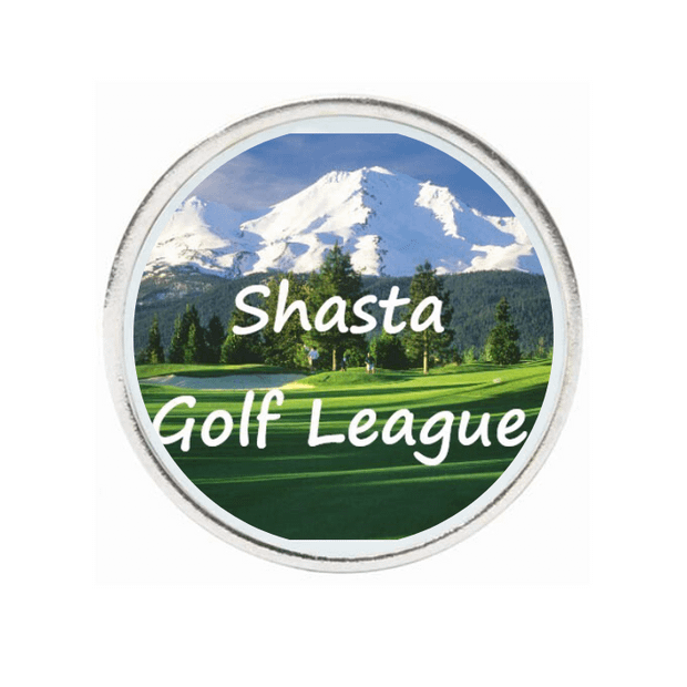 10 Pack Silver Ball Markers