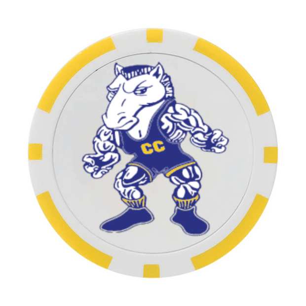 30 Poker Chips in Tube