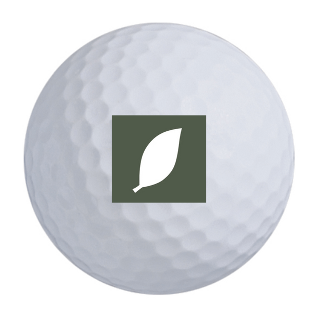 Srixon Marathon Golf Balls - 15 Ball Pack