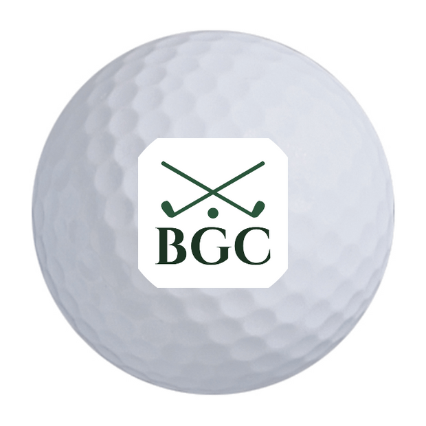 Bridgestone e6 Golf Balls