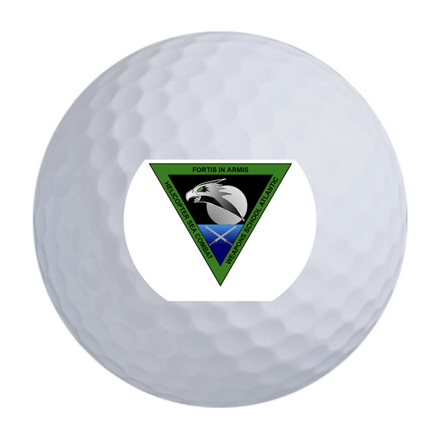 Titleist Pro V1 Golf Balls One Dozen