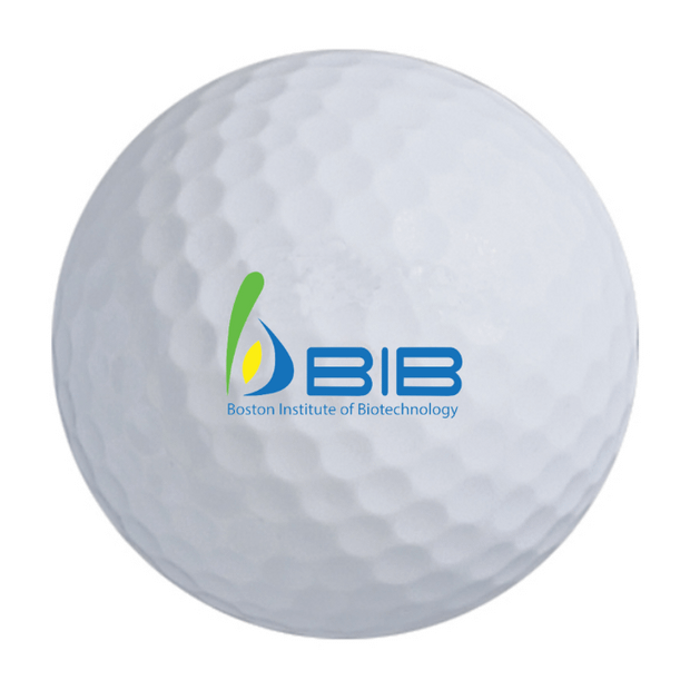 Nitro Maximum Distance Golf Balls