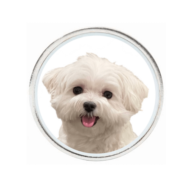 10 Pack Silver Ball Markers