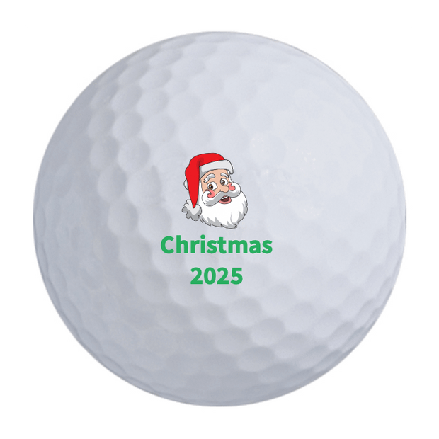 Titleist Pro V1 Golf Balls One Dozen