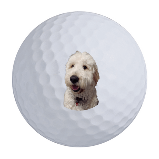 Nitro Maximum Distance Golf Balls - 3 For $35