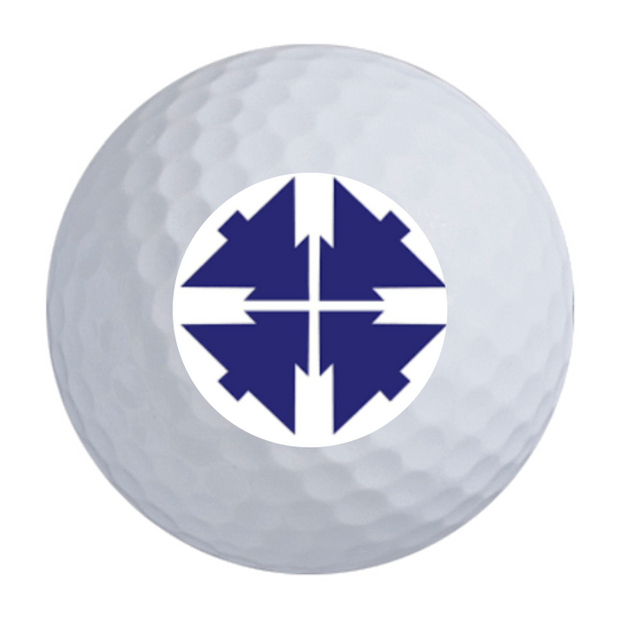 Noodle Long and Soft Golf Balls - 24 Ball Pack