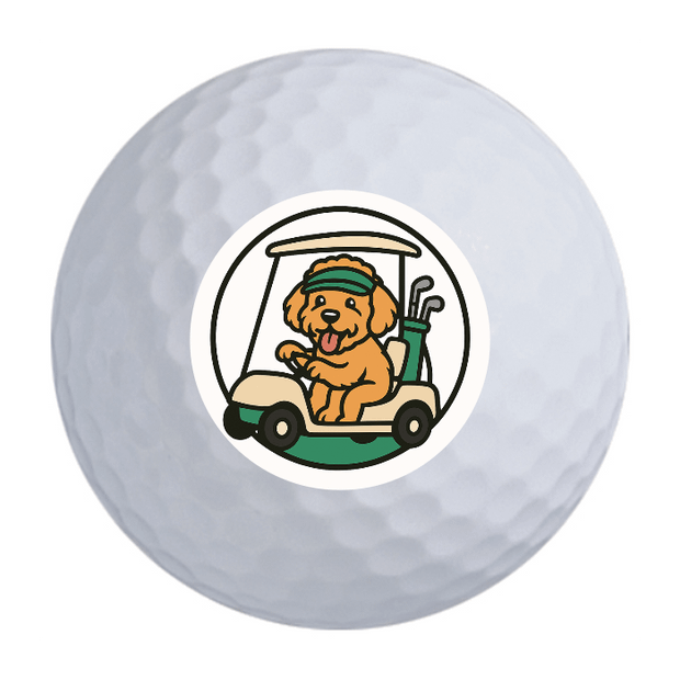 TaylorMade Distance + Golf Balls