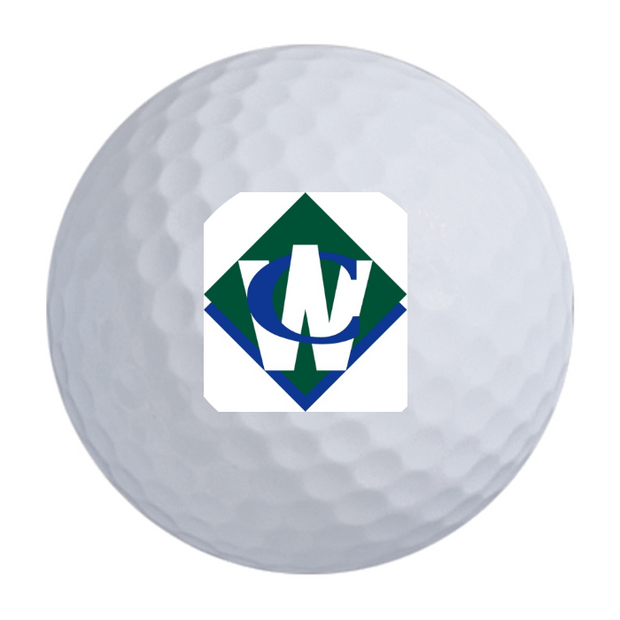 TaylorMade Distance + Golf Balls