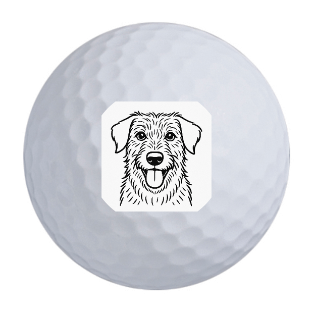 Custom Callaway Warbird Golf Balls One Dozen