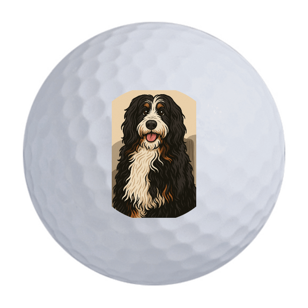 Bridgestone e12 Straight Golf Balls