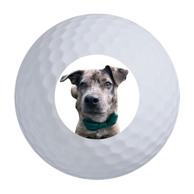 TaylorMade Distance + Golf Balls - 2 FOR $35