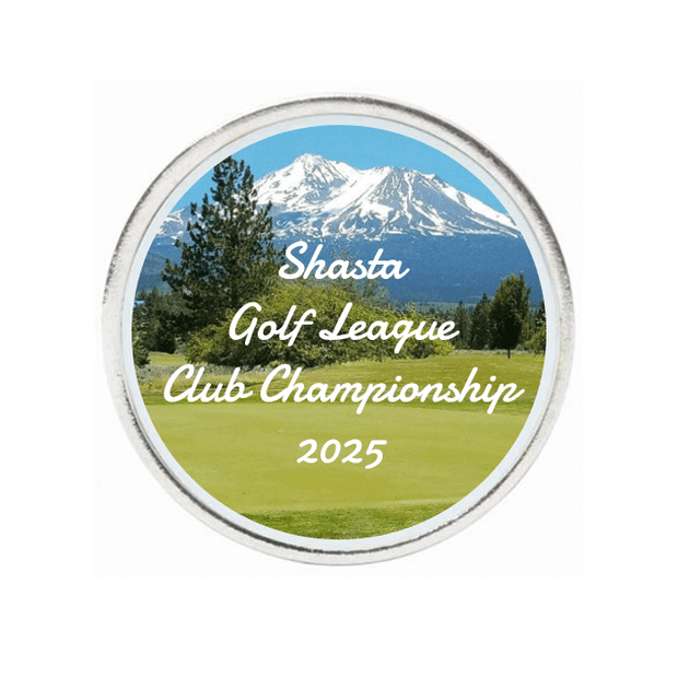 10 Pack Silver Ball Markers