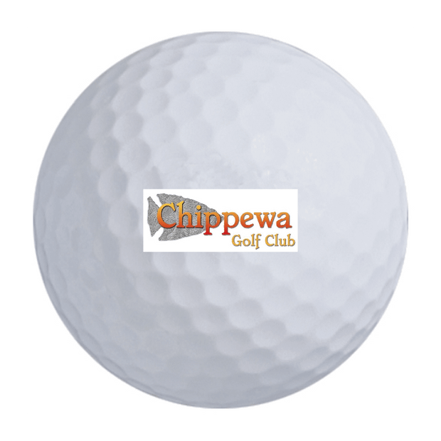 Bridgestone e6 Golf Balls