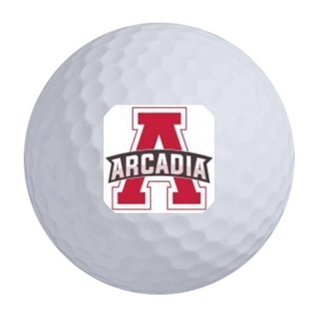 TaylorMade Distance + Golf Balls - 2 FOR $35