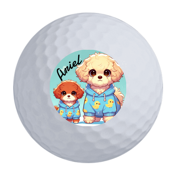 Wilson 50 Elite Golf Balls