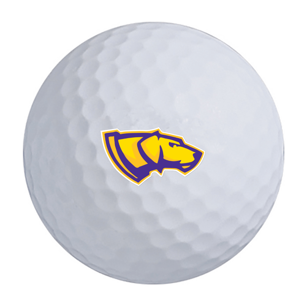 Titleist Pro V1 Golf Balls