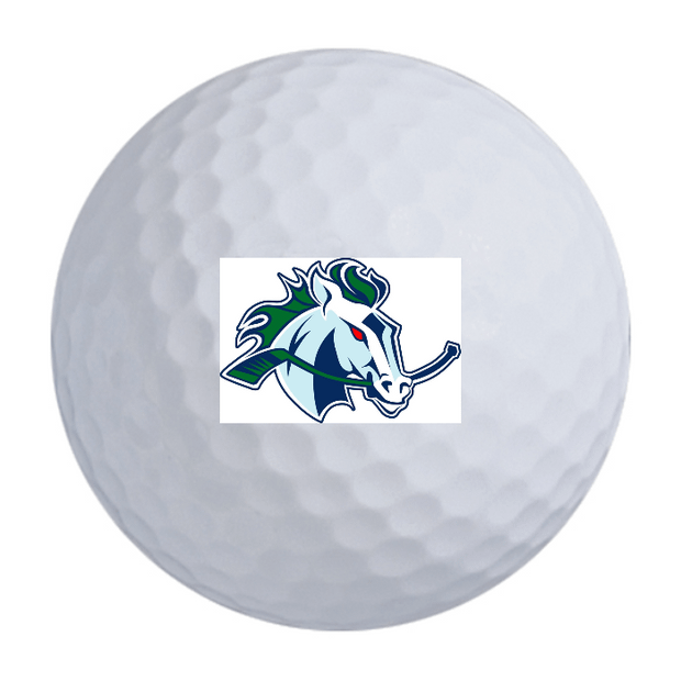 Custom TaylorMade Distance + Golf Balls One Dozen