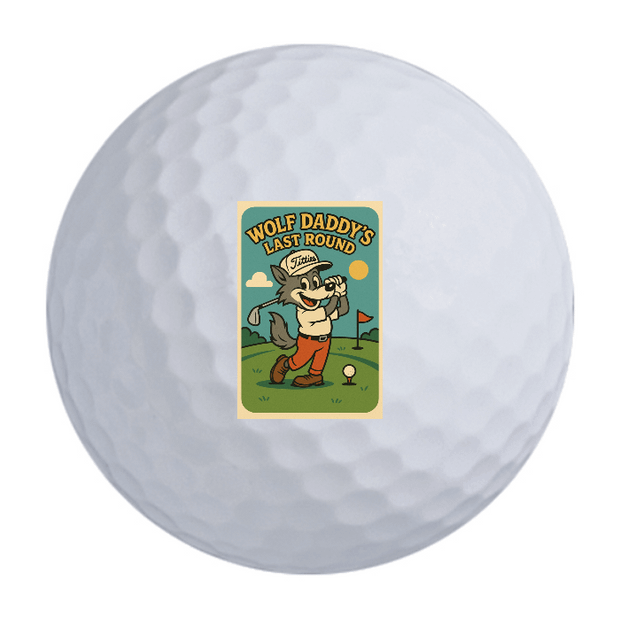 Bridgestone e6 Golf Balls