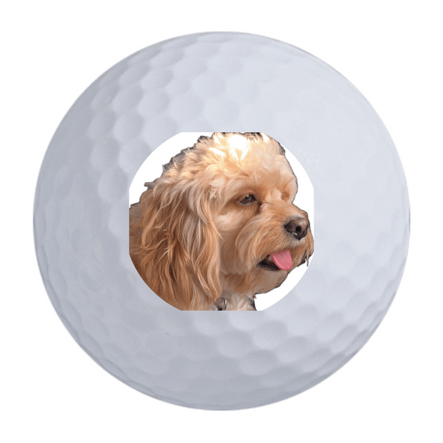 TaylorMade Distance + Golf Balls