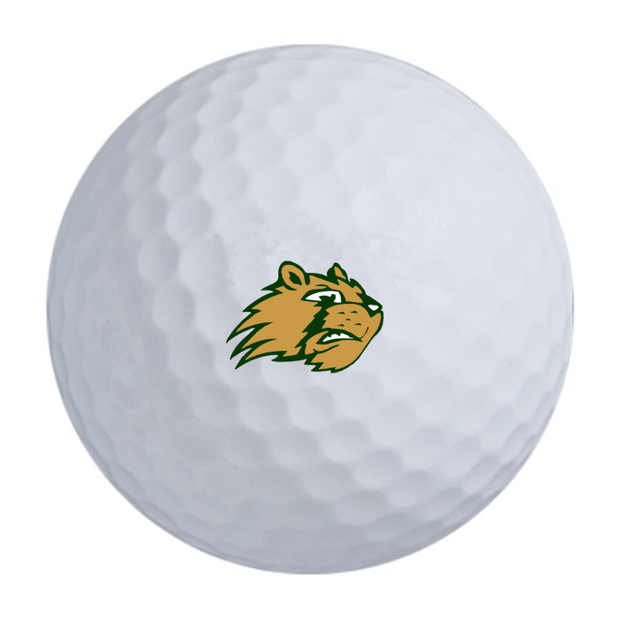 TaylorMade TP5x Golf Balls