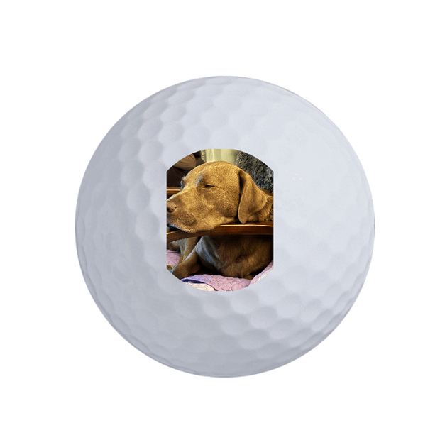 Value Golf Balls White